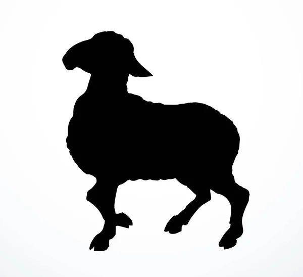 Side View Cute Funny Small Goat Kid Leg Look Ranch — Vector de stock