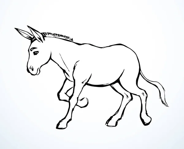 サイドビューかわいい古い面白い馬の糞のオスのポニーペット牧場動物園行く白いテキストスペーススタンドを表示します 灰色の黒いペンライン手描かれたイスラム教徒のイスラム教の芸術の楽しみの獣の赤ちゃんレトロ古代の聖書のアーティストのロゴのアイコン — ストックベクタ