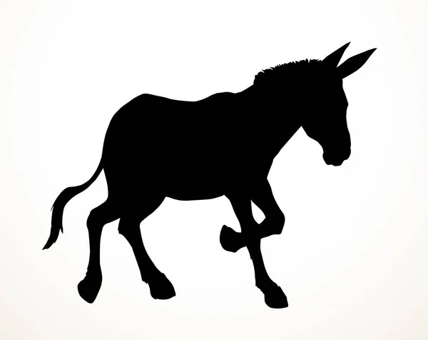 Vista Lateral Lindo Viejo Divertido Caballo Dun Potro Crin Pony — Vector de stock