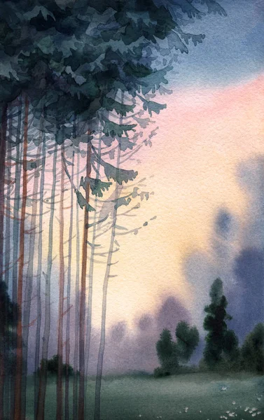手描き水彩画作品穏やかな太陽霧の霞は 古い緑の庭の芝生のシーンの紙のカードのテキストスペースの背景に落ちる ダークペイントスケッチスタイル農村農場の方法は 背の高い杉のスプルースの茂みの低木の景色を旅行 — ストック写真