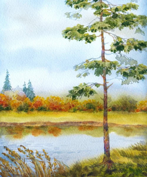 手绘明亮的水彩画草图在纸背景文字空间上浅白的云彩 乡间乌云密布的景色 茂密的落叶芦苇反映在静谧的雾溪流中 — 图库照片