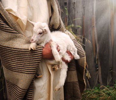 Eski Arap kırsal kesiminden tatlı beyaz ırk çocuğu ilahi işçi küçük şirin bir sığır sürüsü hayvanı buldu. Orta Doğu Asya 'daki Arap katoliği, İbrani din adamlarının göçebe göçebelere, umut tarihi için dua ettiklerine inanır.