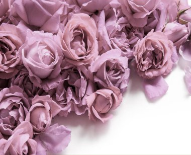 Eski moda sanat yumuşak sonbahar pastel krem renginde aroma yığını metin kopyalama alanı. Güzel, kırsal, şenlikli, parlak, bereketli bahar tomurcuğu dekoru dekoru, hediye günü kartı. Üst manzara afişini kapat.