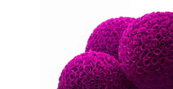 柔らかい入札ライト明るい紫色の赤ピンクのバラ色ウイルスRna健康ドットテキストスペース 美しいお祝い緑豊かな春の芽植物束人間のウイルス植物シンボル花Wed愛アートクローズアップビューバナーフレーム — ストック写真