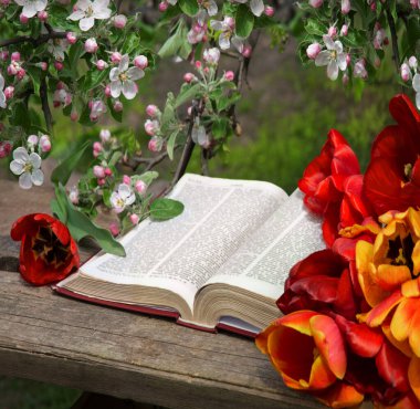 Grunge age dirty worn rough pray white desk space. God prayer holy joy happy gospel culture literary bright glow sun light love fresh apple tree plant branch red bloom bud gift art still life concept