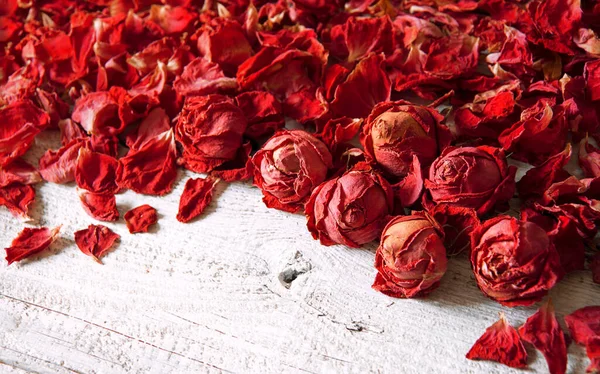 Alte Große Kunst Leuchtend Rot Rosa Lila Geruch Wellness Flora — Stockfoto