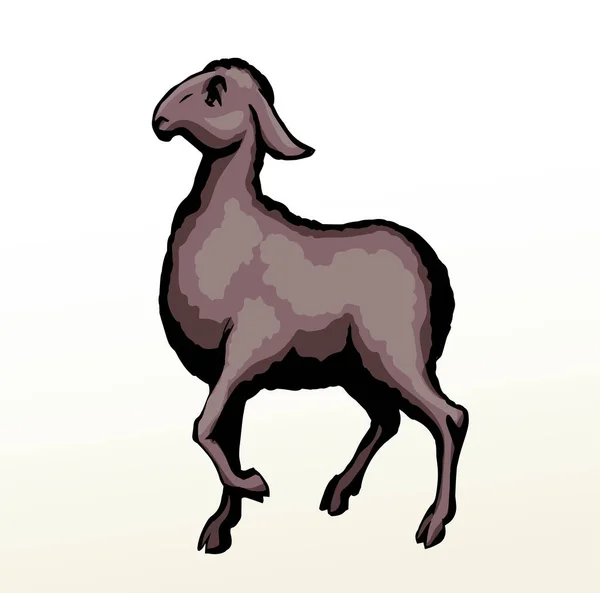 Side View Cute Funny Small Goat Kid Leg Look Ranch — Image vectorielle