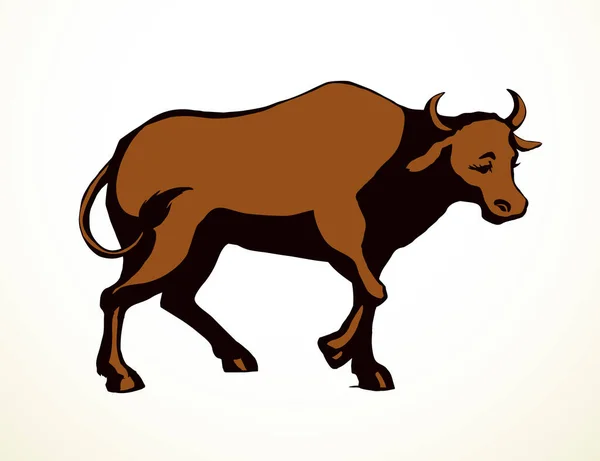 Oldalnézet Szelíd Kisállat Farok Láb Megy Nézd Ranch Állatkert Mező — Stock Vector