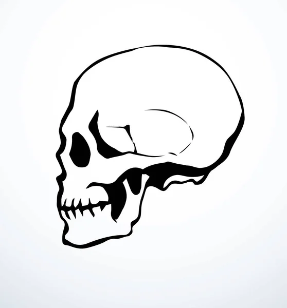 Vista Lateral Close Velho Natur Craniu Noggin Buraco Parte Espinha — Vetor de Stock