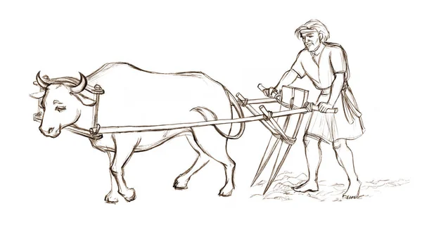 Seitenansicht Rasse Männliche Rinder Carabao Haustier Gehen Holzjoch Werkzeug Sklave — Stockfoto