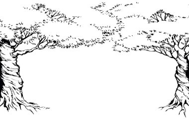 Eski uzun, yüksek gövdeli bakır çim kemeri düşüyor çiçek bahçesi İsrail tepe tarlası beyaz gökyüzü yazı alanı manzarası. Siyah mürekkep kalemle çizilmiş organik eko-yağ bitkisi sahnesi antik retro sanat tarzını karalıyor.