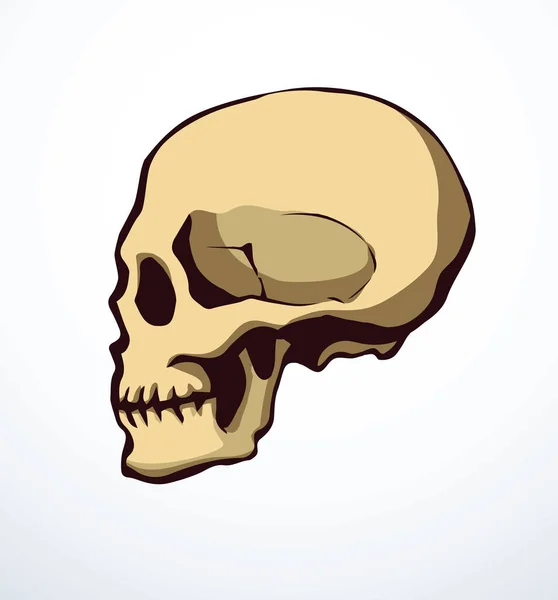 Yakın Plan Eski Natur Craniu Kafa Deliği Omurga Bakımı Röntgen — Stok Vektör