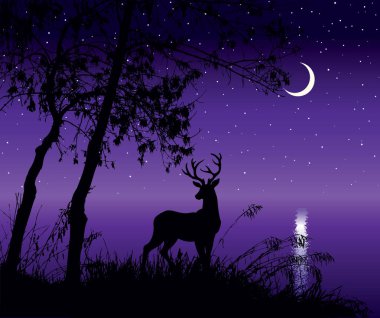 Sevimli, güçlü, genç, toynak başlı hayvan başı, güz bahçesi bahçe tepesi, sabah manzarası büyük, kuru, çalılık yaprağı, çalılık, ay ışığı, hatta alacakaranlık, okyanus kıyısı sanat simgesi.