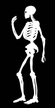 Antika sağlıklı yetişkin erkek figürü omurga elementinin beyaz metin alanı vardır. Eskimiş yüz çizilmiş eski yüz parçası organ logosu amblem işareti eskimiş antik sanat eserleri yan görünüm