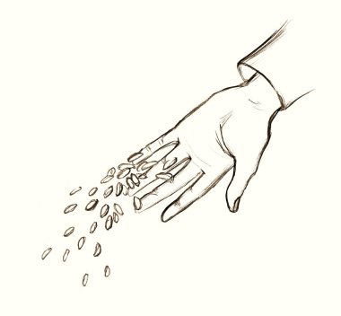 Closeup view female palm arm yield give small corn crop white sky text space Outline black pen drawn biblic pour dirt sign icon concept retro line cartoon bible god Jesus Christ story art sketch style