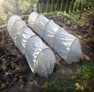 Eski çalışma tohum fidanı fidan sapı çalı tarlası kök sıra sahne havası hobisi ekmeye yardımcı olur. Beyaz bez tünel çadır çatı sistemi koyu kahverengi taze meyve mahsulü modern biyo-eko kuru don kavramını yer.