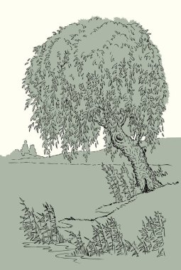 Eskimiş siyah mürekkep kalem el, sükunet ve sükunet dolu sonbahar manzarası eskimiş sanat karalama çizgisi tarzı. Yakın sakin dere kamışı bitkisi arazi manzaralı beyaz gökyüzü metin arkaplanı