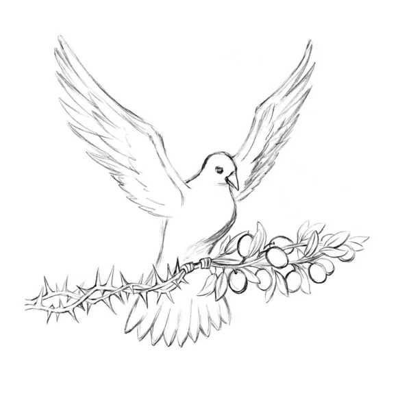Kudus Jenis Burung Cahaya Jiwa Putih Sentuhan Menyembuhkan Tindakan Stres — Stok Foto