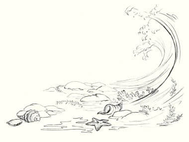 Light white wet salt aqua rock pebbl stone floor text space scene black hand drawn wild tide surf oyster mollusc star Closeup scenic view global hot warm climate sandy bay life cartoon art line sketch