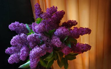 Makro görüşü kapat eski büyük tomurcuk yeşil odun bitkisi parkı mesaj alanı düğün kartı olabilir. Güzellik odası aydınlık pembe renk sanat bile hala hayat dolu aşk sembolü pankart perde perde