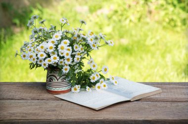 Eski çağlardan kalma kırsal sanat eseri, ot, güneş ışığı, bar tezgahındaki tezgah, metin kopyalama alanı. Neşeli aşk rahatla parlak çiçek tomurcukları dekoru eko günü kartı manzaralı pankartı kapat