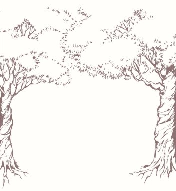 Eski uzun, yüksek gövdeli bakır çim kemeri düşüyor çiçek bahçesi İsrail tepe tarlası beyaz gökyüzü yazı alanı manzarası. Siyah mürekkep kalemle çizilmiş organik eko-yağ bitkisi sahnesi antik retro sanat tarzını karalıyor.