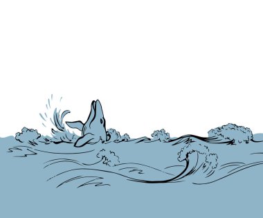 Cute aqua old giant sperm minke fin foam view light sky text space backdrop. black ink pen outline hand drawn big huge deep clear storm biology life eat fauna icon sign logo emblem design art style