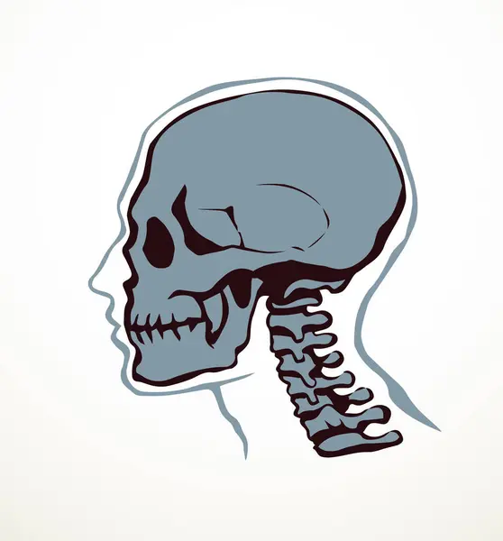 Sisi Close Melihat Natur Craniu Noggin Tua Bagian Lubang Tulang - Stok Vektor