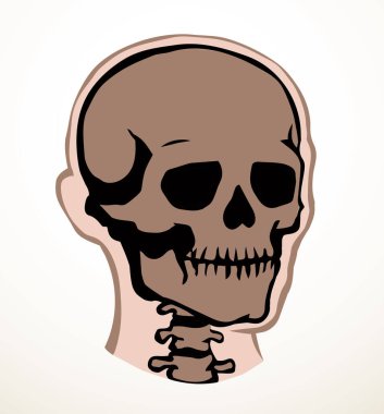 Yakın görüş eski natur craniu baş deliği kısmı omurga tarama bölümü x ışını ölüm logosu çizilmiş el çizgisi ölü omurga yaralanması hasta ağrı testi soyut çizgi çizim sanat konsepti