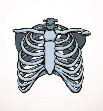 Öndeki beyaz kadın, eklem eklem ağrısı, kol ağrısı, hastane, tedavi, röntgen filmi logosu. Elle çizilmiş kadın doktor röntgeni ölü erkek omurilik rahatsızlığı, akciğer ağrısı sınavı karalama çizimi.