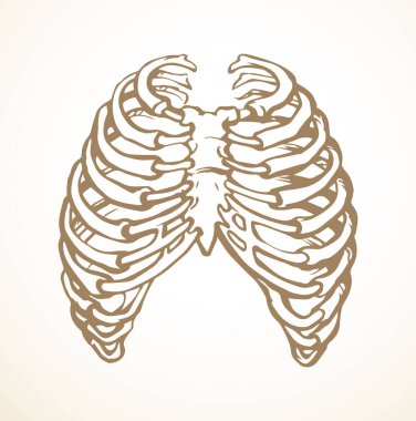 Öndeki beyaz kadın, eklem eklem ağrısı, kol ağrısı, hastane, tedavi, röntgen filmi logosu. Elle çizilmiş kadın doktor röntgeni ölü erkek omurilik rahatsızlığı, akciğer ağrısı sınavı karalama çizimi.