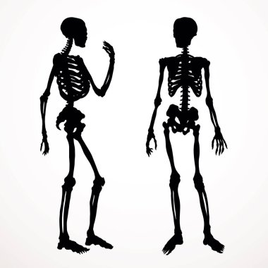 Ön taraf beyaz kol bacak kalça kalça kalça göğüs bakımı x ışını ölüm logosu ayarlandı. El çizimi Xray ölü omurga yaralanması. Ağrı kesici, klasik taslak çizimi, çizim çizimi, karikatür.