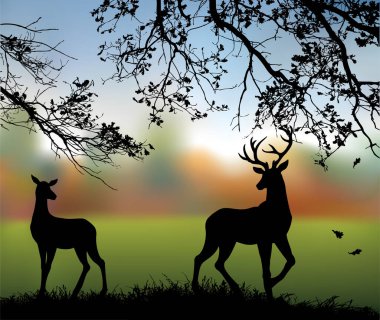 Büyük zarafet güçlü, genç, yetişkin, kırmızı, kahverengi, bebek burunlu, askı avında kırsal bitki örtüsü, gökyüzü manzarası. Büyük kuru meşe yaprağı ile geyik hayvanat bahçesinin sisi sahne resmi simgesi.