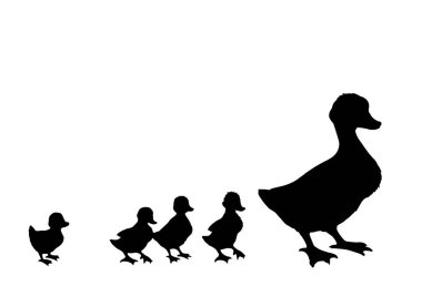Yakından bakınca sevimli nehir gölü annesi Branta cygnus gaggle Cub row 'u koruyor beyaz metin alanı ayarlıyor. Siyah el çizilmiş genç pofuduk drake fauna go zoo road logosu antika köy çizgisi sanat tarzı