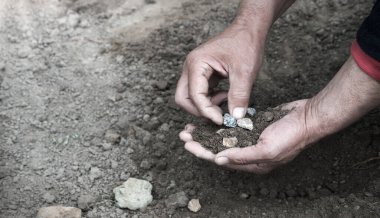 Eski köylü işçi palmiyesi, yakın plan kırsal yaşam hazırlık. Küçük tanecikler, bereketli çamur humus toprak tozu toprak bakımı hobisi. Ayrıntılı görünüm kol çalışma kum yığınları iyi görünüyor ekoloji umut kavramı