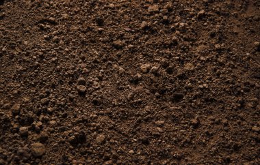 Pis, eski, boş, ıslak, sıkıntılı, karanlık, gri, susuz toprak yol, metin uzayı. Üstü kapalı makro manzara. Kırık çamur, ekolojik atık, verimsiz bitki. Susuz, çorak bozkır çöl çimenliği.