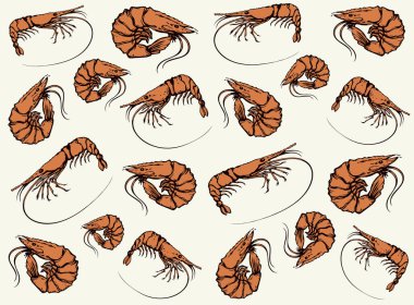 Kağıt üzerinde kocaman kırmızı bir kaplan bacağı. Ana hatları siyah mürekkeple çizilmiş leziz deniz lezzeti buharlı öğle yemeği yaşam menüsü simgesi tasarımı. Resim karalama retro yazdırma stili. Görüntüyü kapat