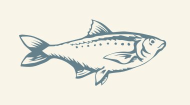 Büyük Cyprinus carpio evcil hayvanı beyaz kâğıt üzerinde yüzüyor. Ana hatlı siyah mürekkep el, küçük ham diyet basur logosu piktogram amblem tasarım menüsünü retro sanat doodle engrave baskı tarzıyla çizdi. Görüntüyü kapat