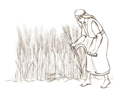 Genç Yahudi, Doğu İsrail, Müslüman, Arap, yaşlı adam, beyaz, kırsal, bahar, toprak, bitki, gökyüzü, resim çizimi, Asyalı, Yahudi, hizmetçi, kölelik, çim biçme, olgun, yiyecek sembolü.