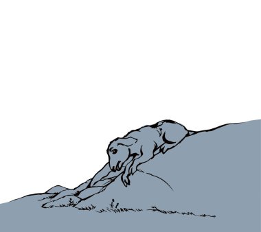 Vektör çizimi. Koyun tarlada kayboldu.