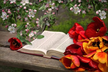 Grunge age dirty worn rough pray white desk space. God prayer holy joy happy gospel culture literary bright glow sun light love fresh apple tree plant branch red bloom bud gift art still life concept