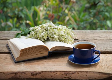 Grunge Age antika parkı abur cubur yer sıcak yemek aromalı baro masası masa kâğıt alanı. Mutlu Arap kültürü güneş ışığı taze bitki tomurcuğu yeşil ot yaprağı dinlenme kutsal kitap sanatı hala hayat