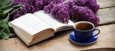 Grunge Age antika parkı abur cubur yer sıcak yemek aromalı baro masası masa kâğıt alanı. Mutlu Arap kültürü güneş ışığı taze bitki tomurcuğu yeşil ot yaprağı dinlenme kutsal kitap sanatı hala hayat