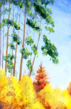 Elle çizilmiş eski yeşil bahçe koruluğu çayırlık patika yol boyunca yol boyunca kağıt metin alanı. Parlak neşe güneşli, güneşli bahar günü eskiz stili kırsal seyahat uzun sedir ladini köknar ağacı manzaralı.