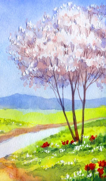 Watercolor landscape. Flowering fruit trees over the quiet lake
