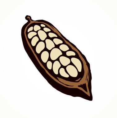 Teobroma beyaz zemine kurulmuş. El çizimi siyah mürekkep çizimi menü logosu piktogram amblem tasarımı çizimi. Antik karalama stili oymalı kalem. Kağıt üzerine yazı için. Yakın görünüm