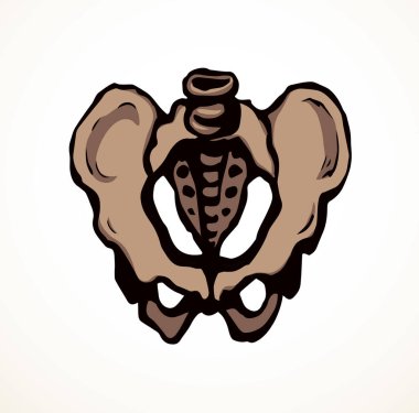 Önden beyaz, yaşlı, hasta, iliak gövde, kasık, bacak, uyluk ağrısı tedavisi, röntgen ışını yaralanması logosu. Elle çizilmiş siyah tıbbi röntgen omurga ağrısı çizimi çizim çizimi çizimi