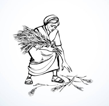Vektör çizimi. Bir kadın tarlada kulaklarını karıştırıyor.