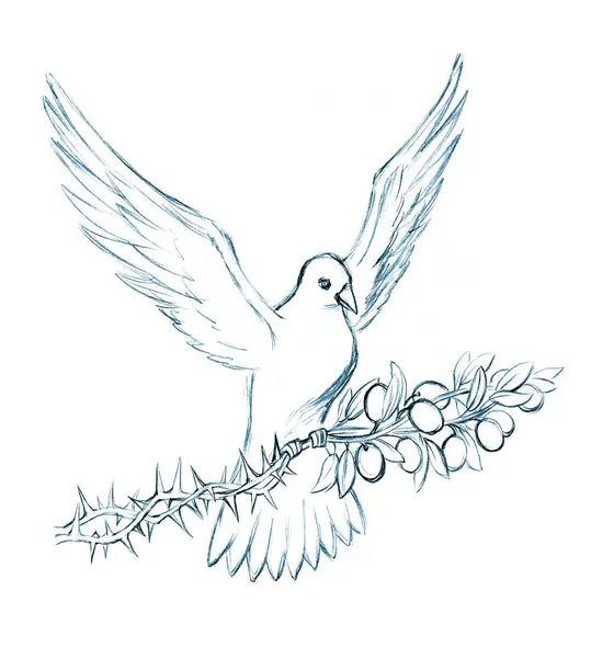Heilige Art Weiße Seele Licht Vogel Berühren Heilen Akt Stress — Stockfoto