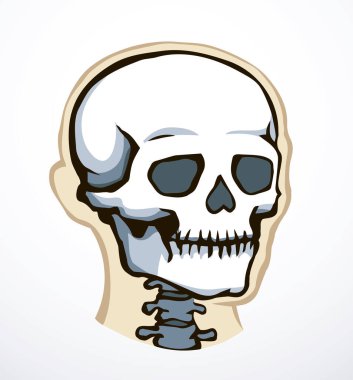 Yakın görüş eski natur craniu baş deliği kısmı omurga tarama bölümü x ışını ölüm logosu çizilmiş el çizgisi ölü omurga yaralanması hasta ağrı testi soyut çizgi çizim sanat konsepti